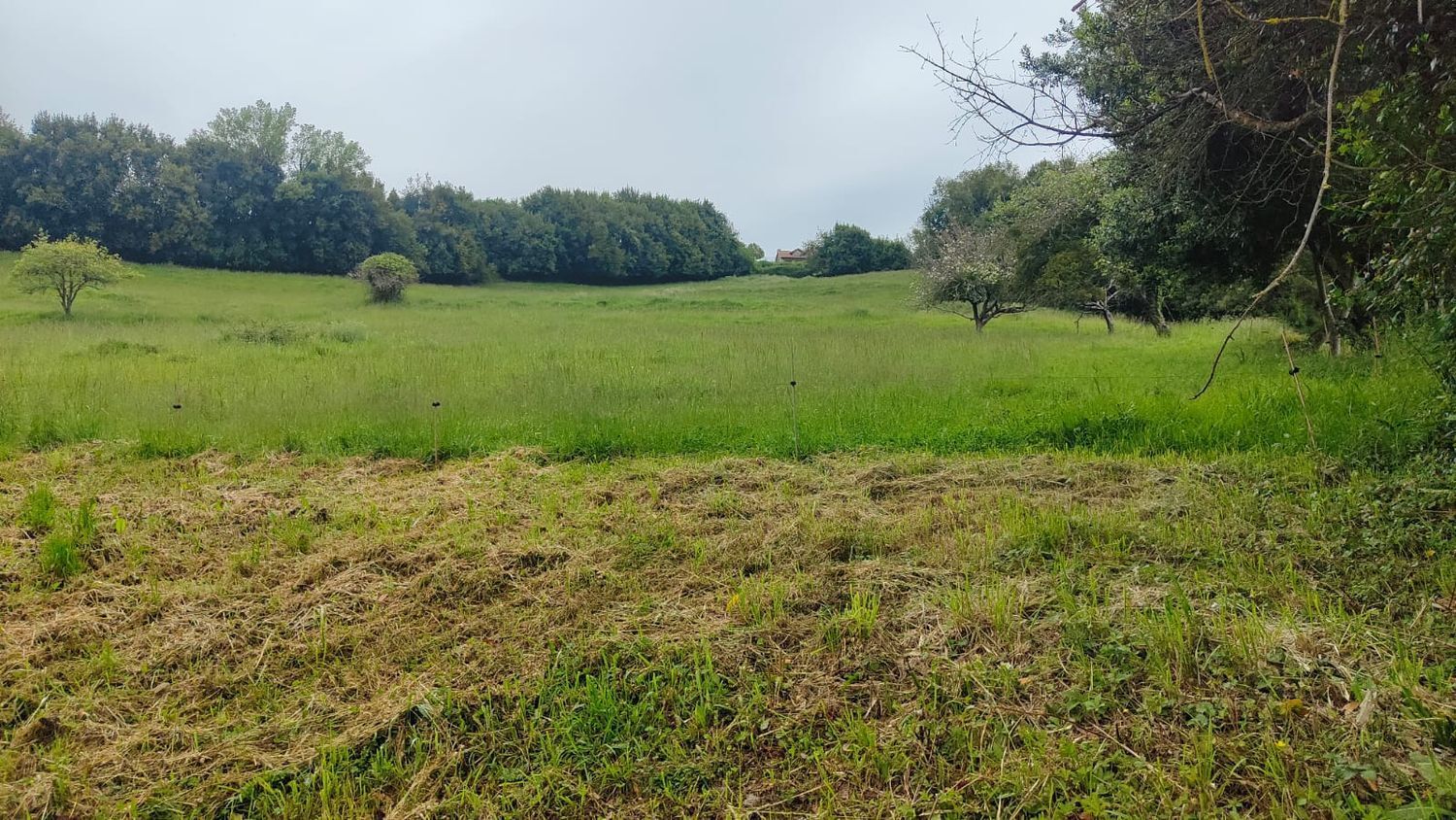 Propiedad en venta en Asturias, Carreño