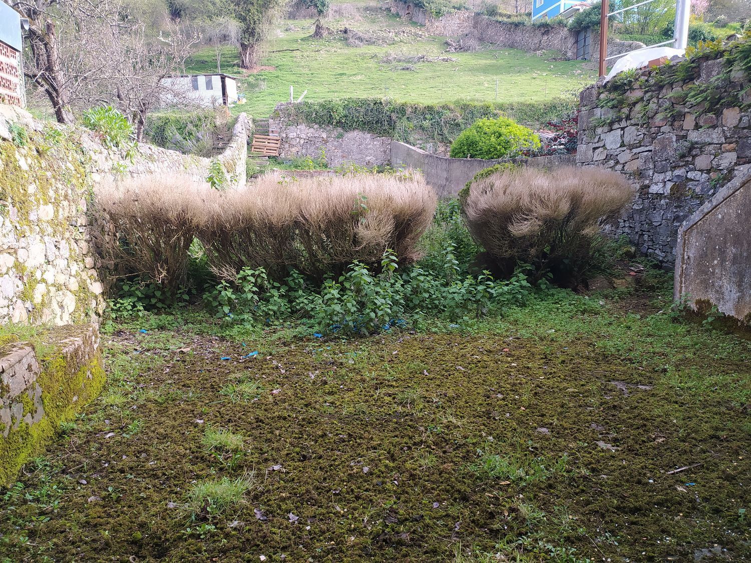 Propiedad en venta en Asturias, Salas