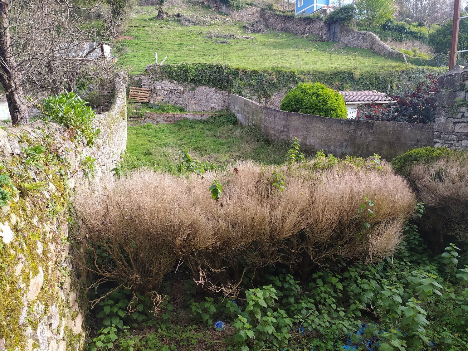 Propiedad en venta en Asturias, Salas