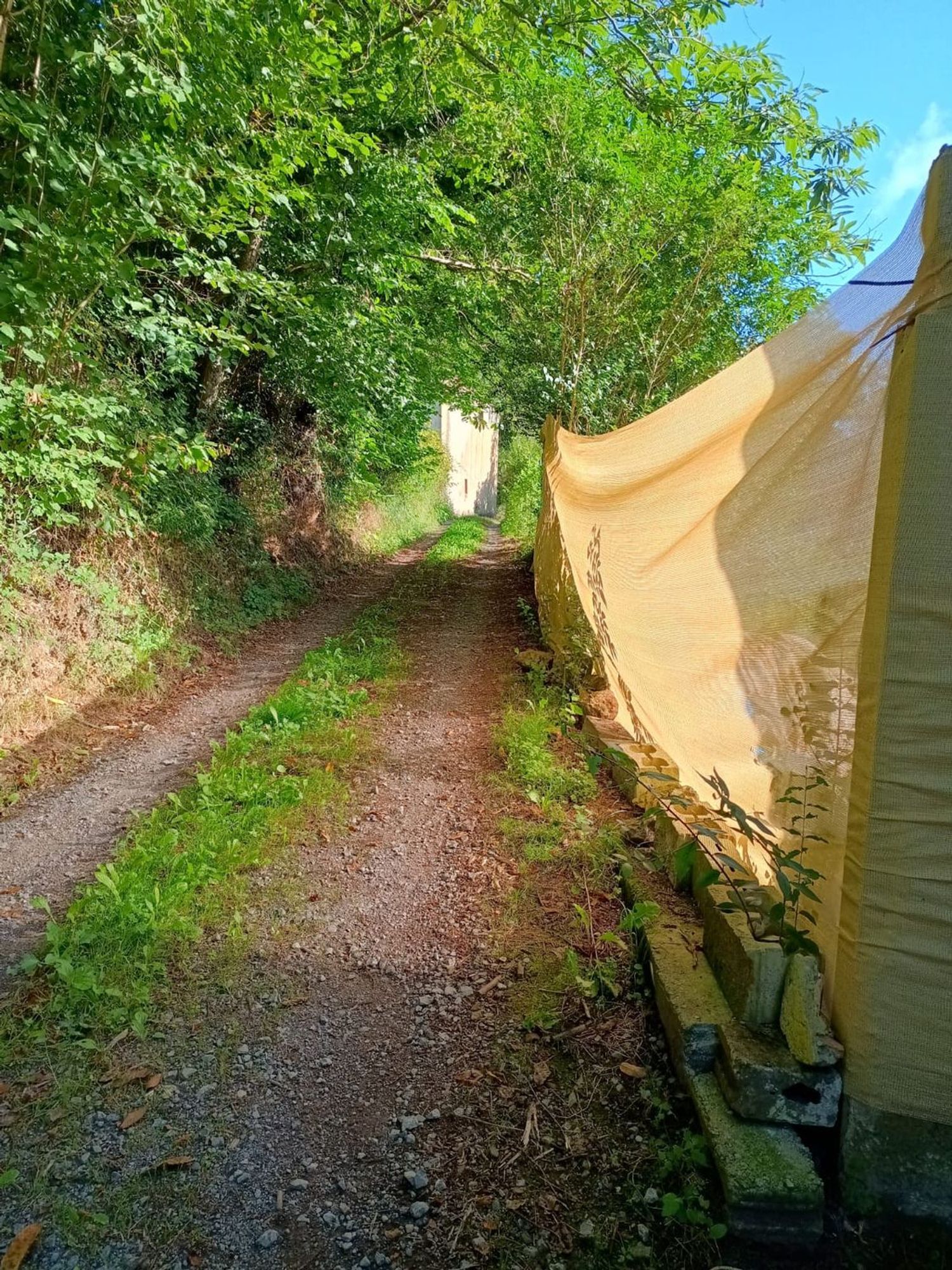 Propiedad en venta en Asturias, Riosa