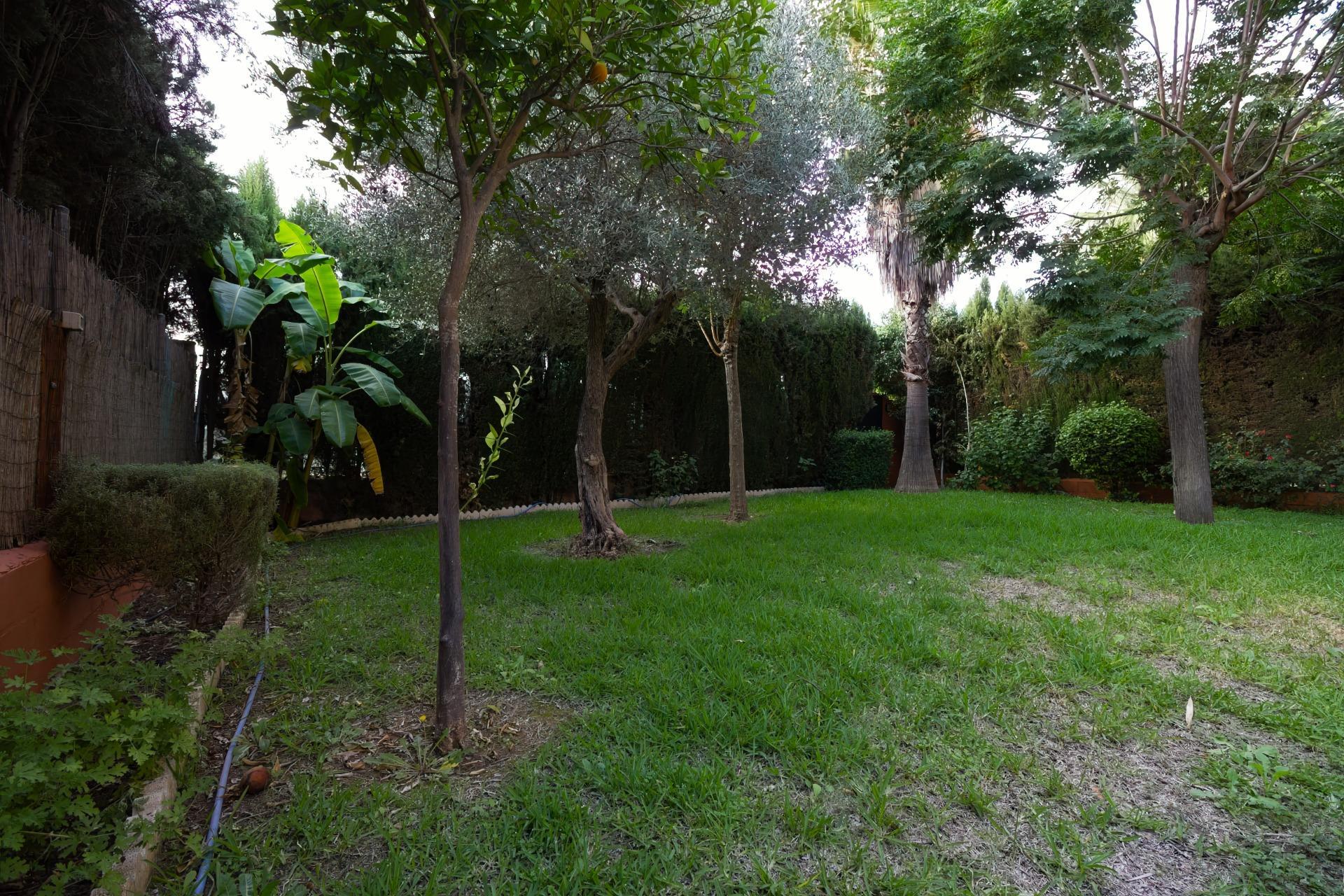 Casas o chalets-Venta-Bormujos-1884805-Foto-69