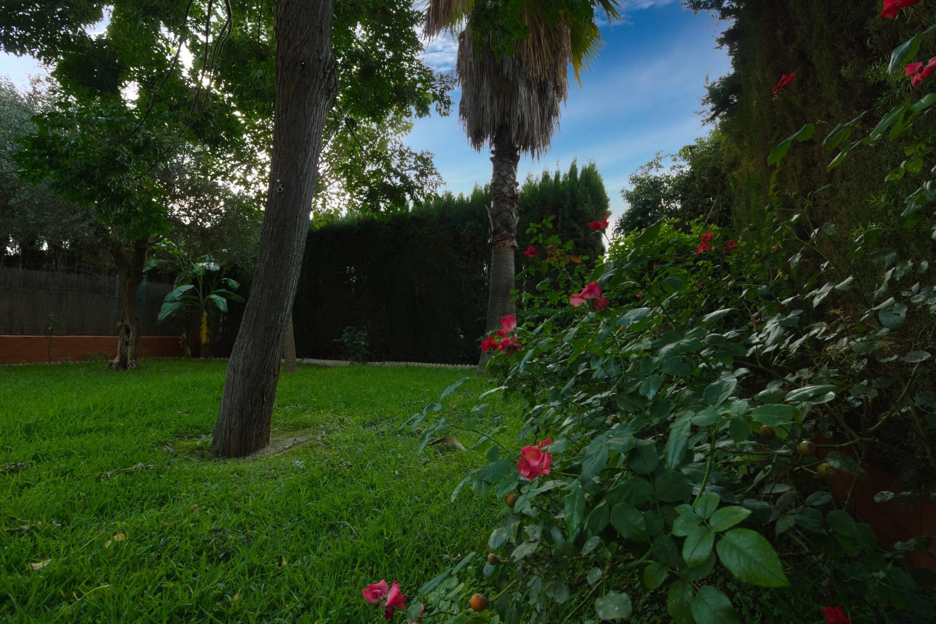 Casas o chalets-Venta-Bormujos-1884805-Foto-71