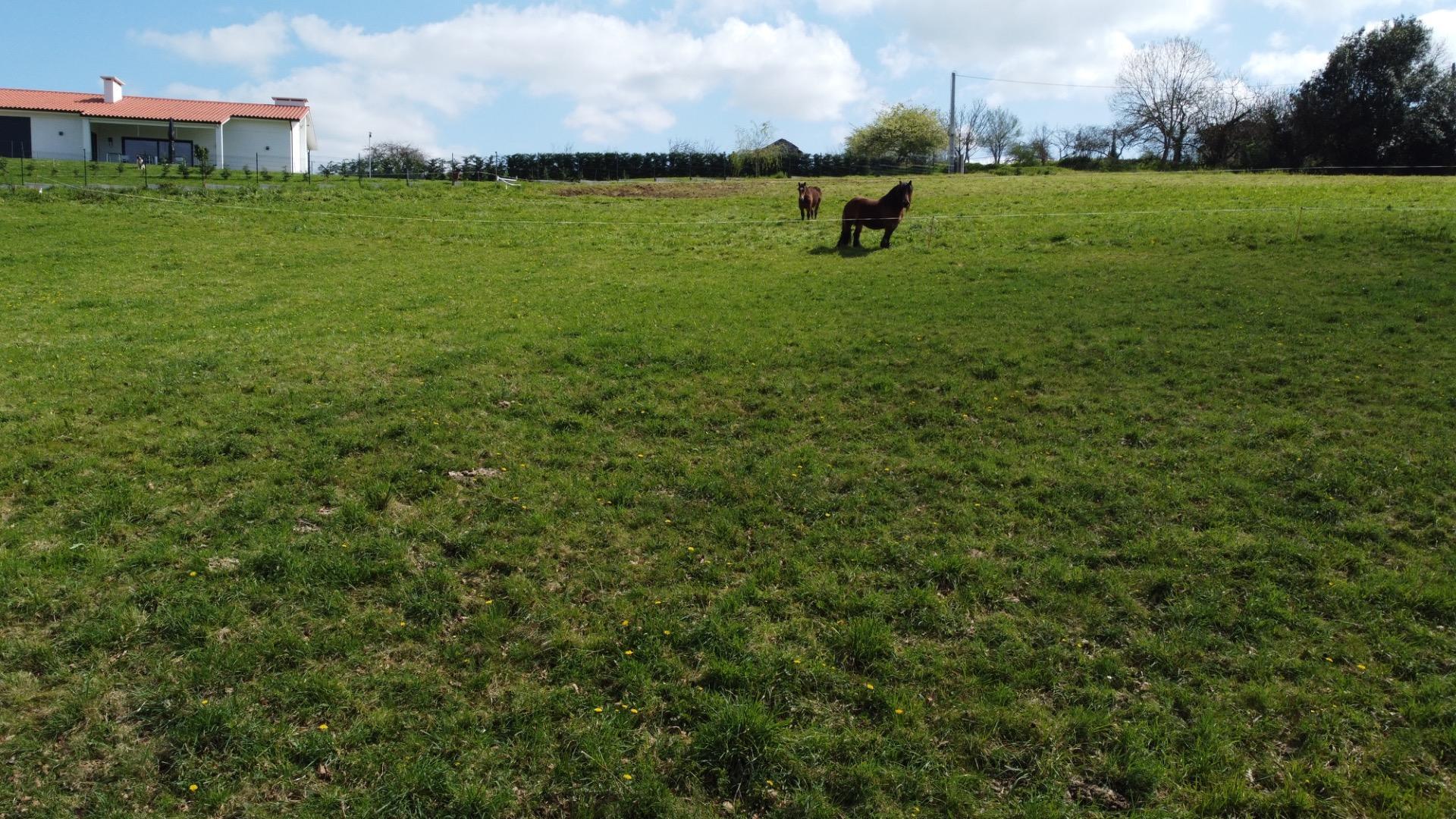 Fincas y solares-Venta-Las Regueras-1068790