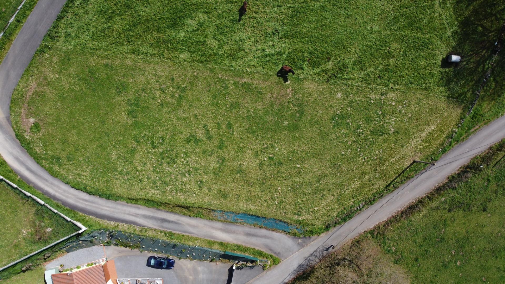 Fincas y solares-Venta-Las Regueras-1068790-Foto-6