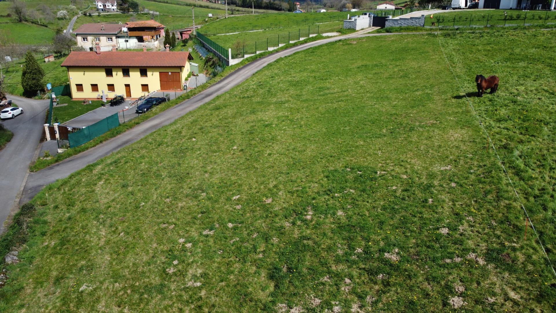 Fincas y solares-Venta-Las Regueras-1068790-Foto-12