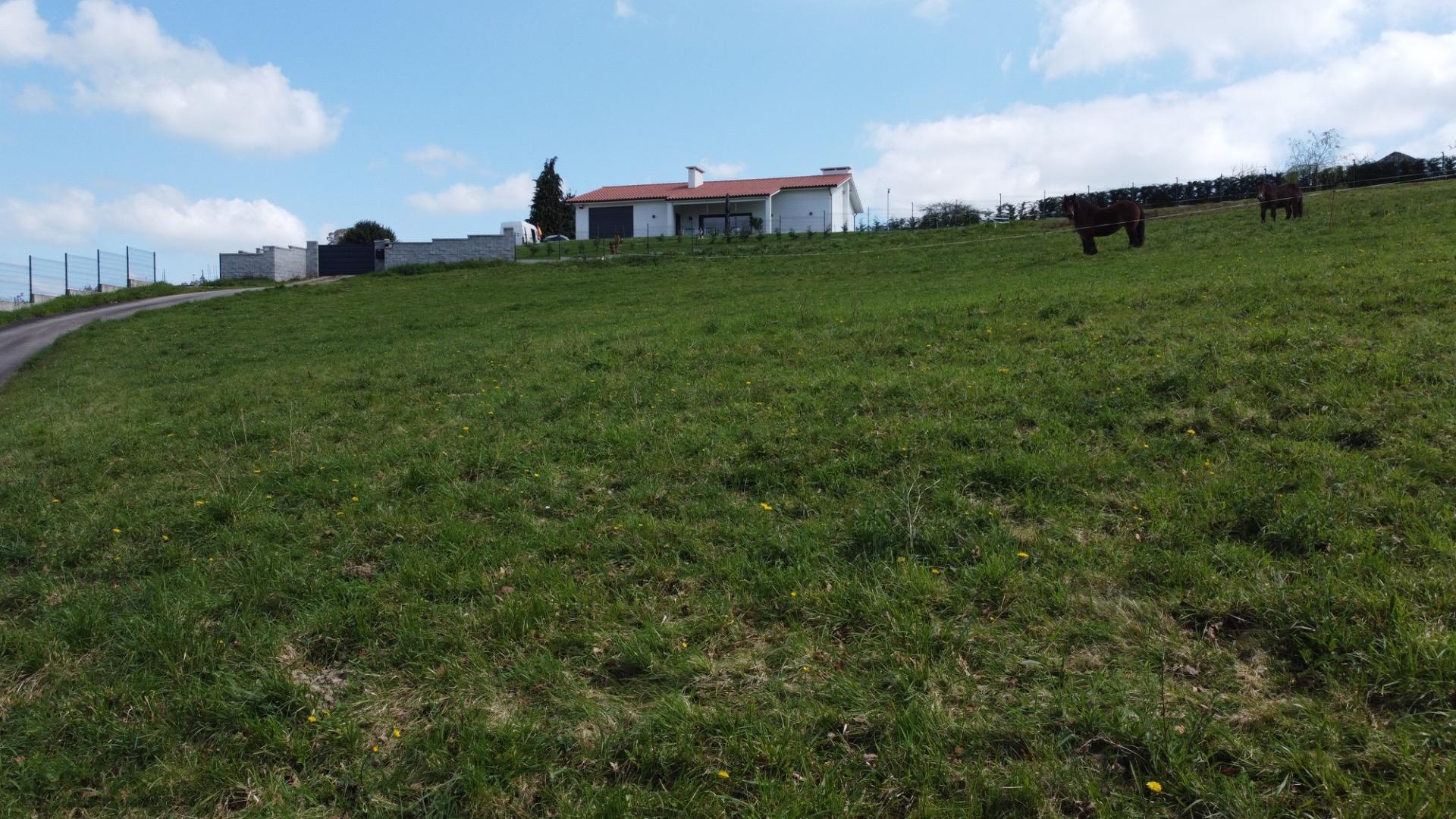 Fincas y solares-Venta-Las Regueras-1068790-Foto-14