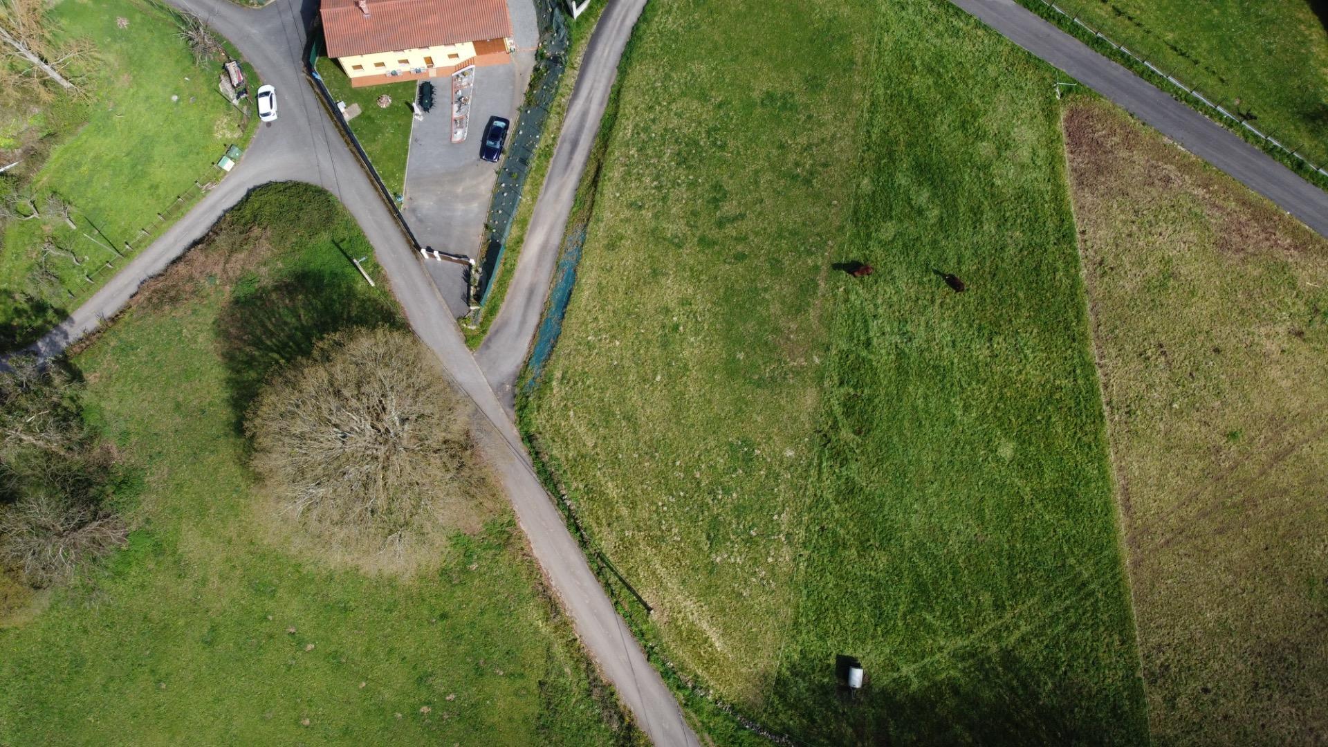 Fincas y solares-Venta-Las Regueras-1068790-Foto-17