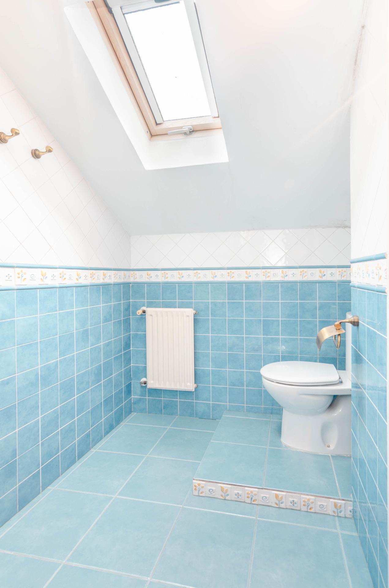 Pisos-Venta-Tineo-1507891-Foto-26