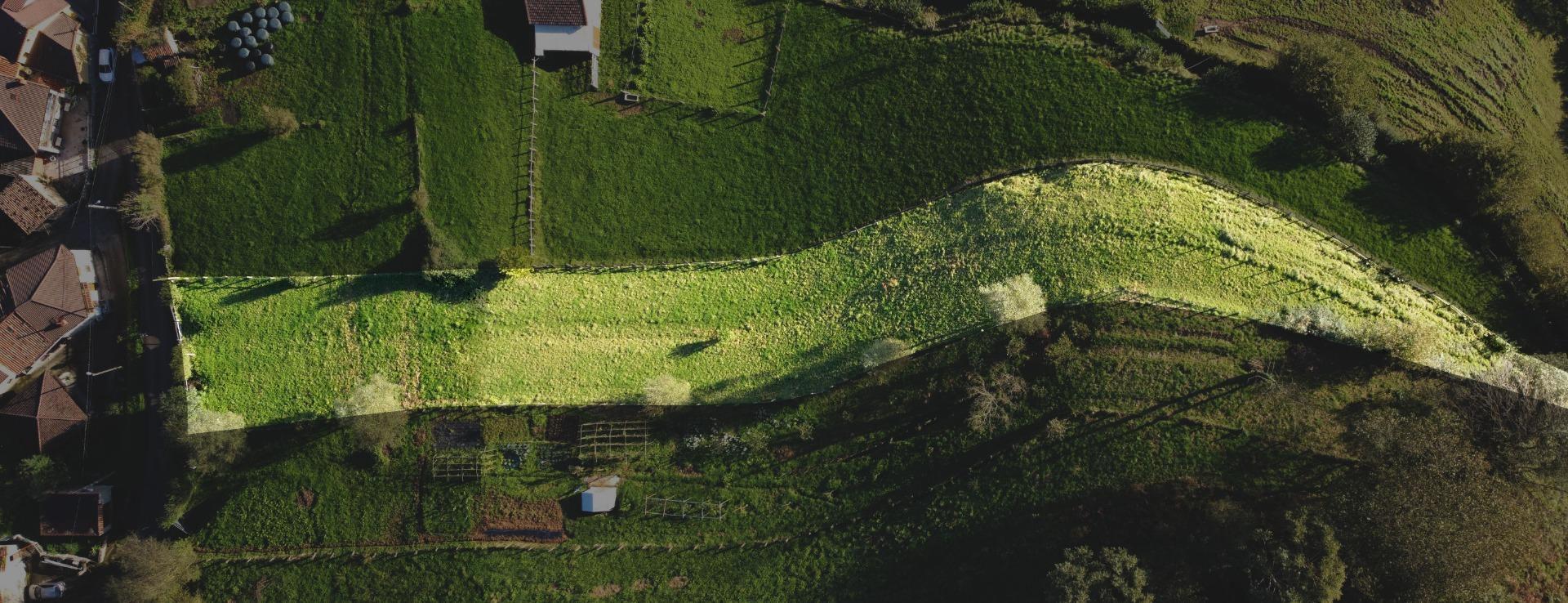 Fincas y solares-Venta-MorcÃ­n-1439980-Foto-2