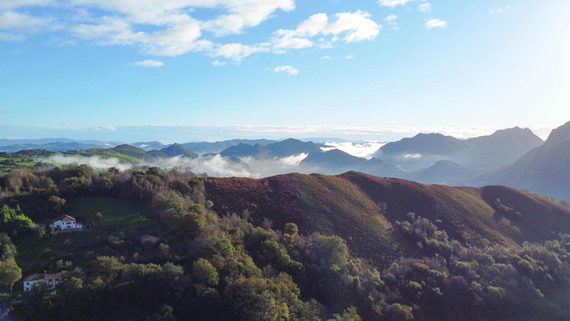 Fincas y solares-Venta-MorcÃ­n-1439980-Foto-3