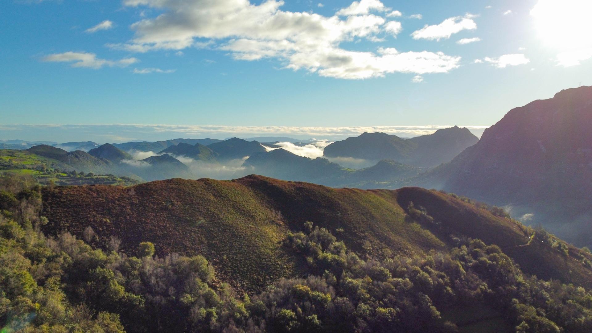 Fincas y solares-Venta-MorcÃ­n-1439980-Foto-4