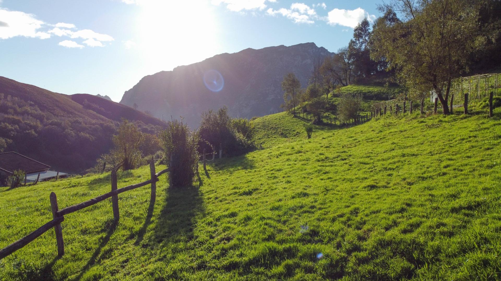 Fincas y solares-Venta-MorcÃ­n-1439980-Foto-5