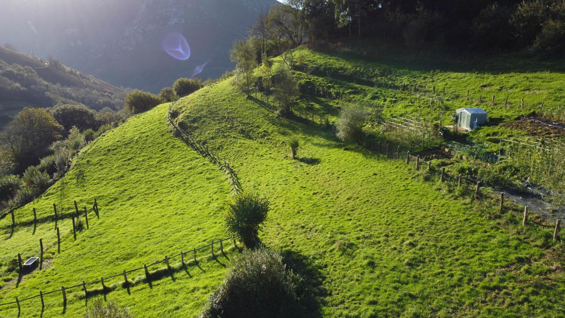 Fincas y solares-Venta-MorcÃ­n-1439980-Foto-7