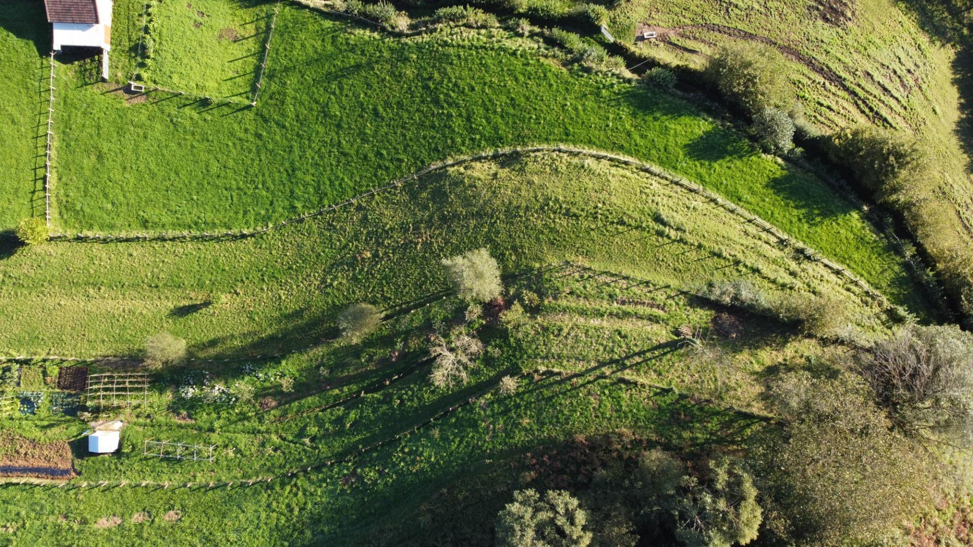 Fincas y solares-Venta-MorcÃ­n-1439980-Foto-8