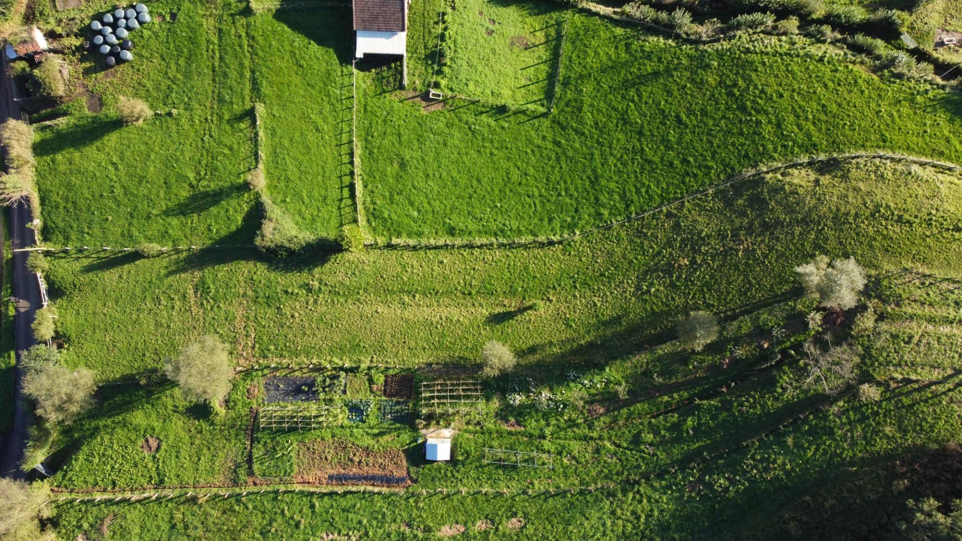 Fincas y solares-Venta-MorcÃ­n-1439980-Foto-6