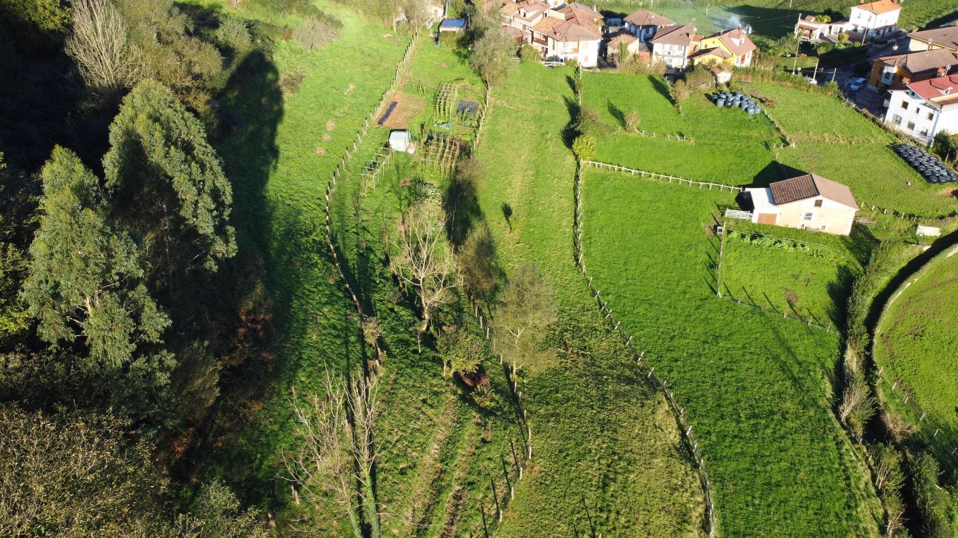 Fincas y solares-Venta-MorcÃ­n-1439980-Foto-9