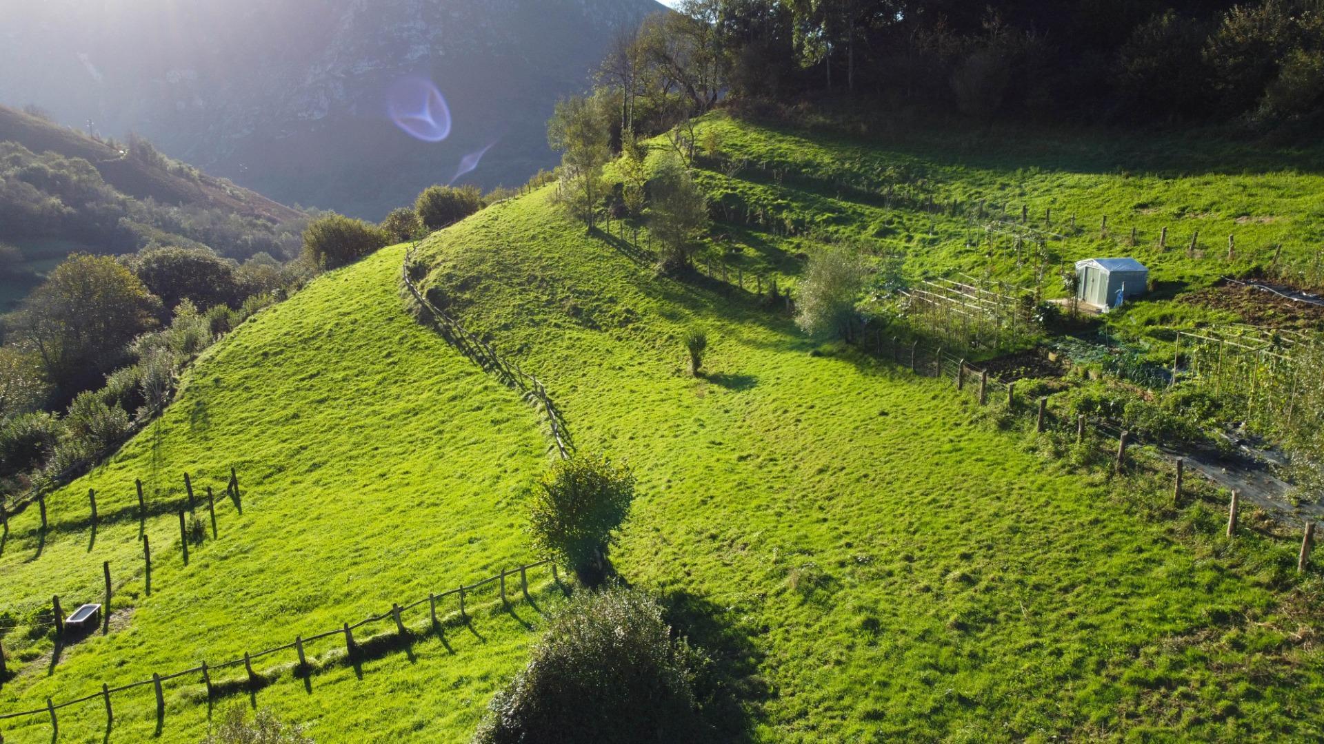 Fincas y solares-Venta-MorcÃ­n-1439980-Foto-13