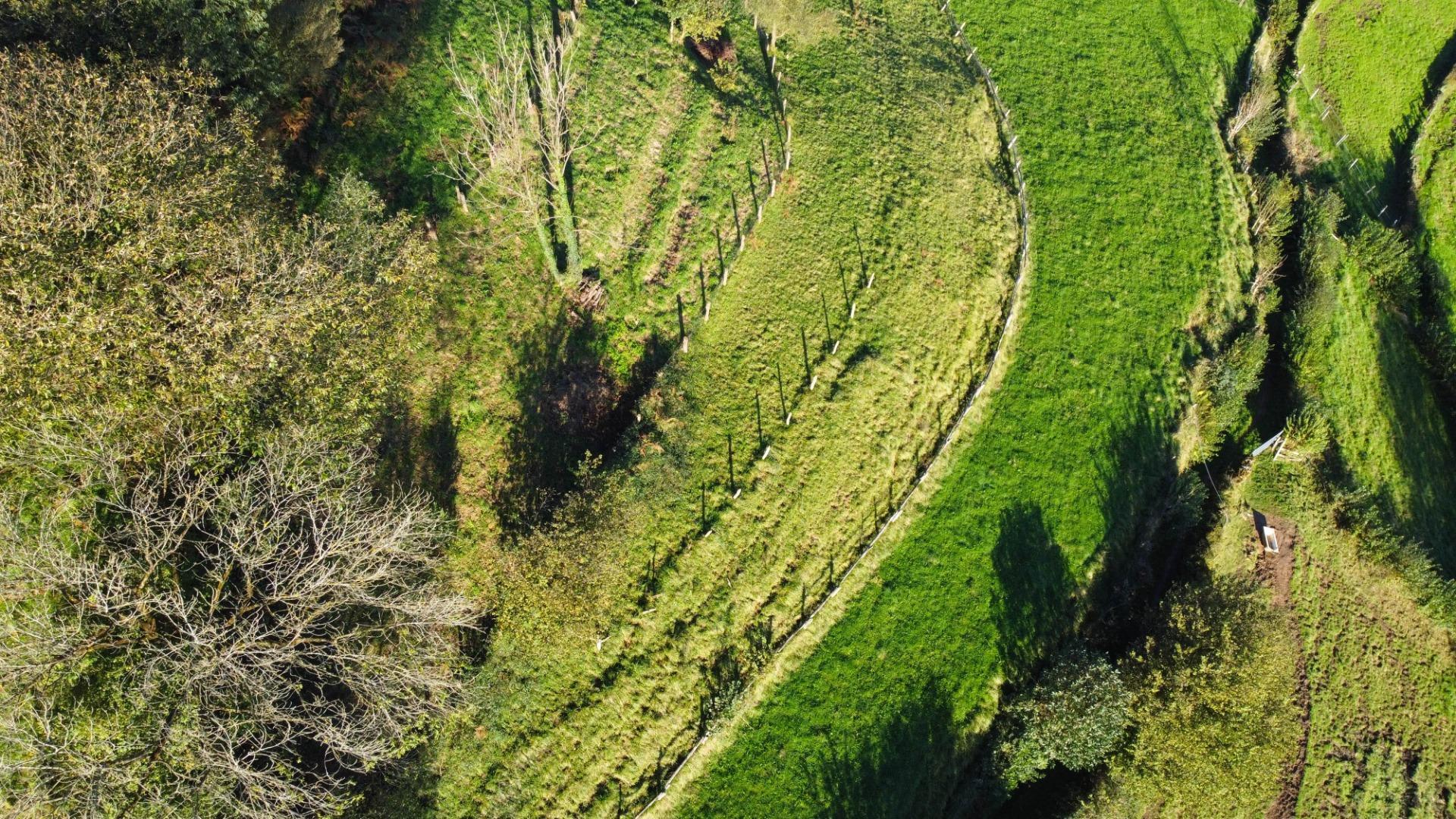 Fincas y solares-Venta-MorcÃ­n-1439980-Foto-10