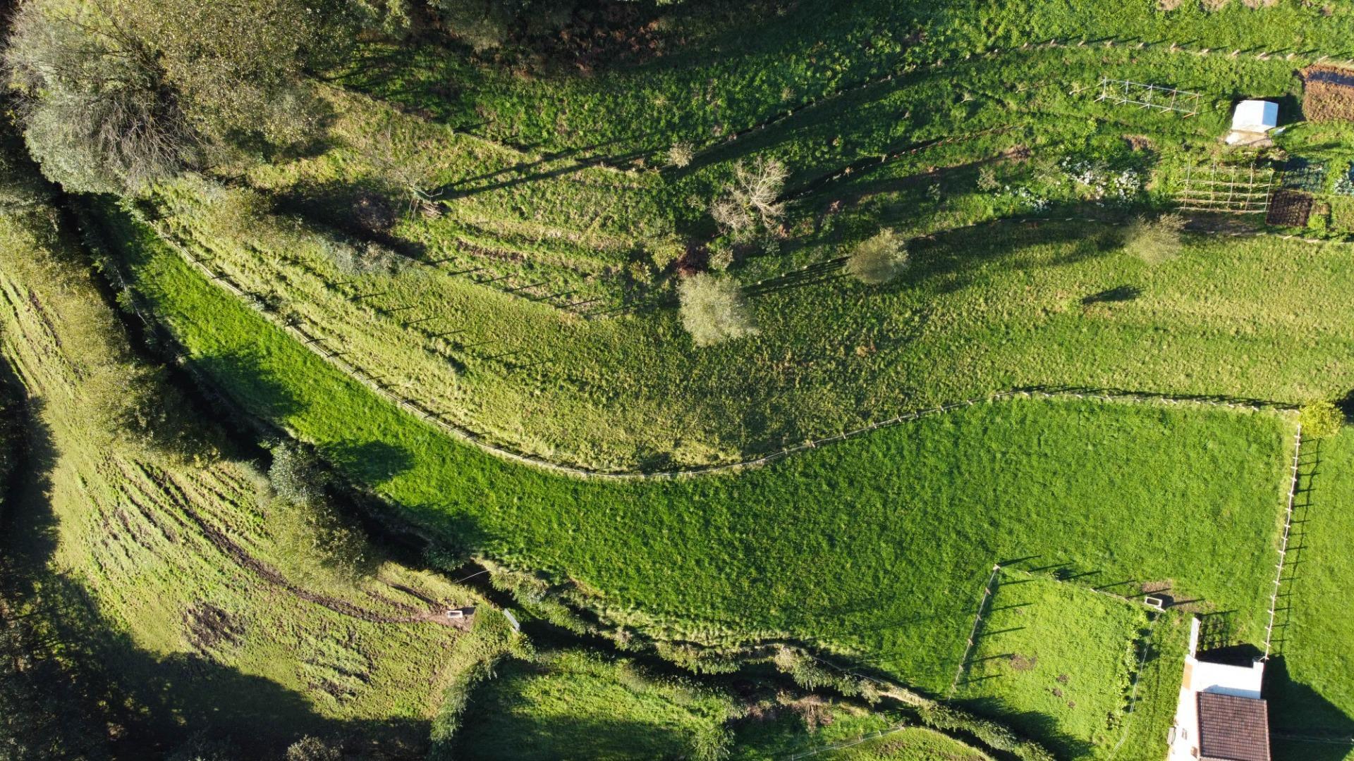 Fincas y solares-Venta-MorcÃ­n-1439980-Foto-14