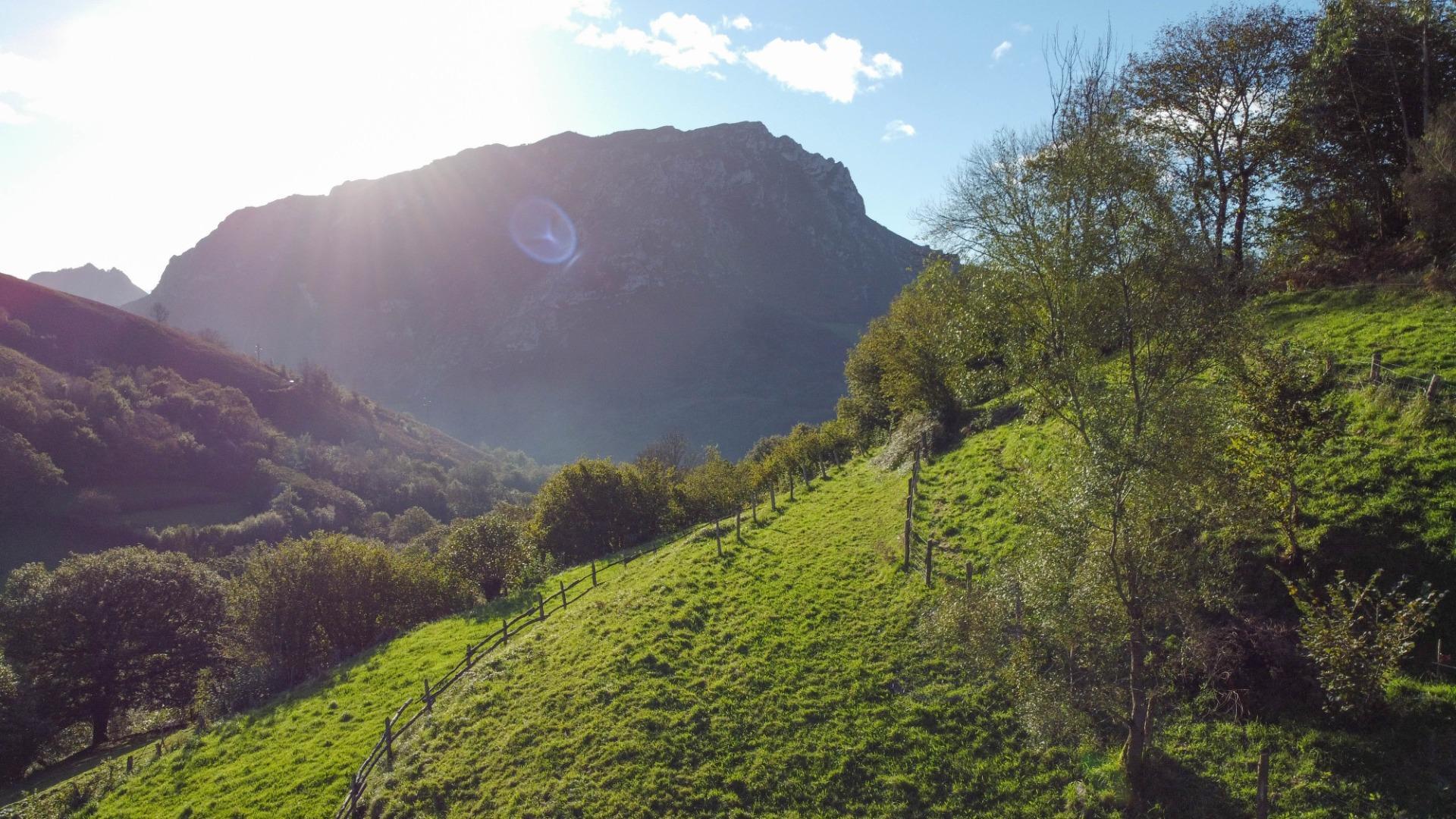 Fincas y solares-Venta-MorcÃ­n-1439980-Foto-16