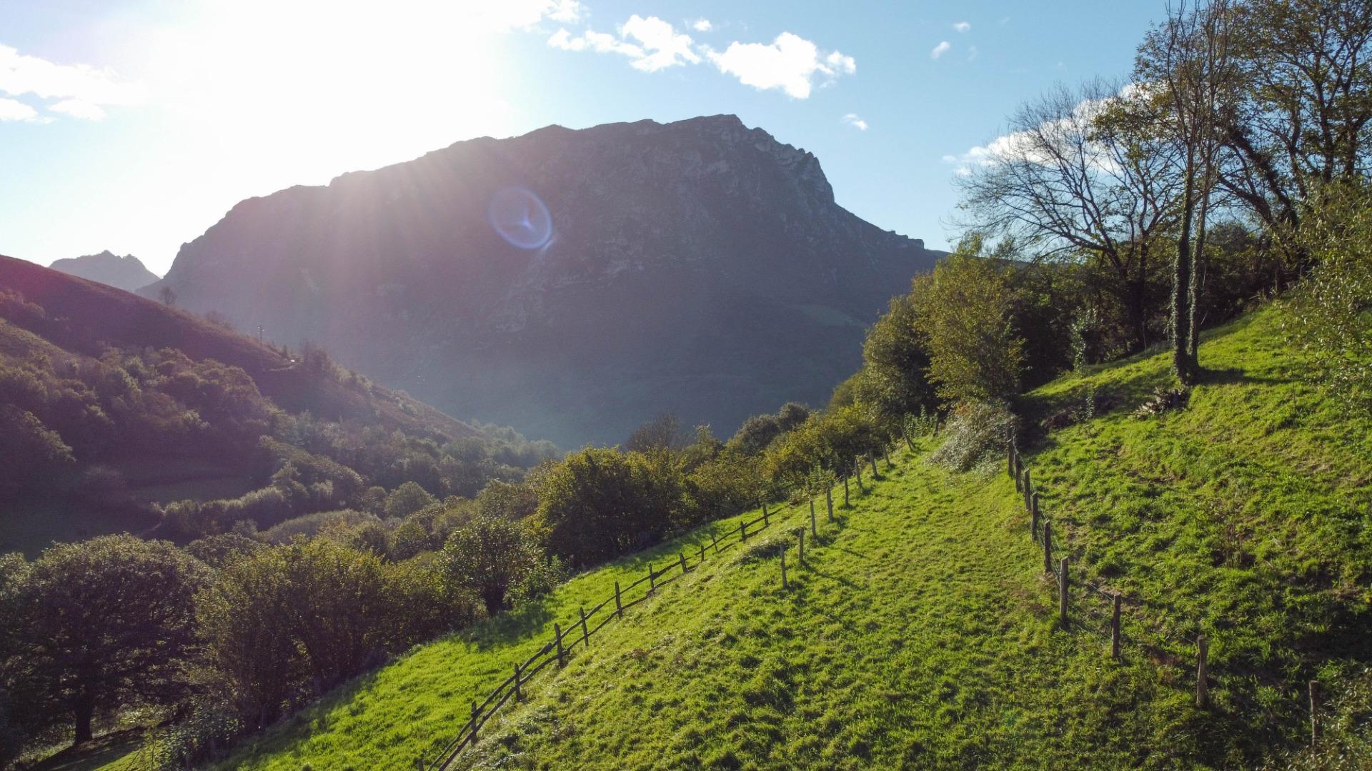 Fincas y solares-Venta-MorcÃ­n-1439980-Foto-17