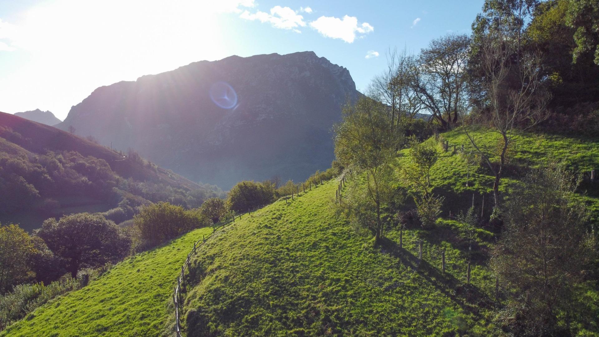 Fincas y solares-Venta-MorcÃ­n-1439980-Foto-18