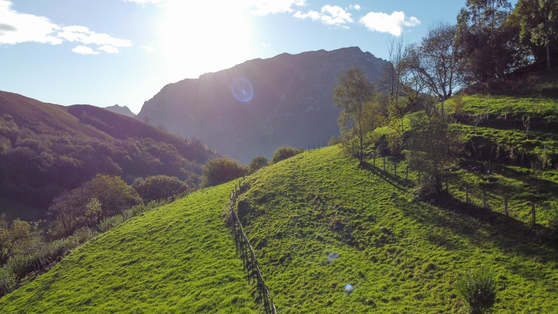 Fincas y solares-Venta-MorcÃ­n-1439980-Foto-19