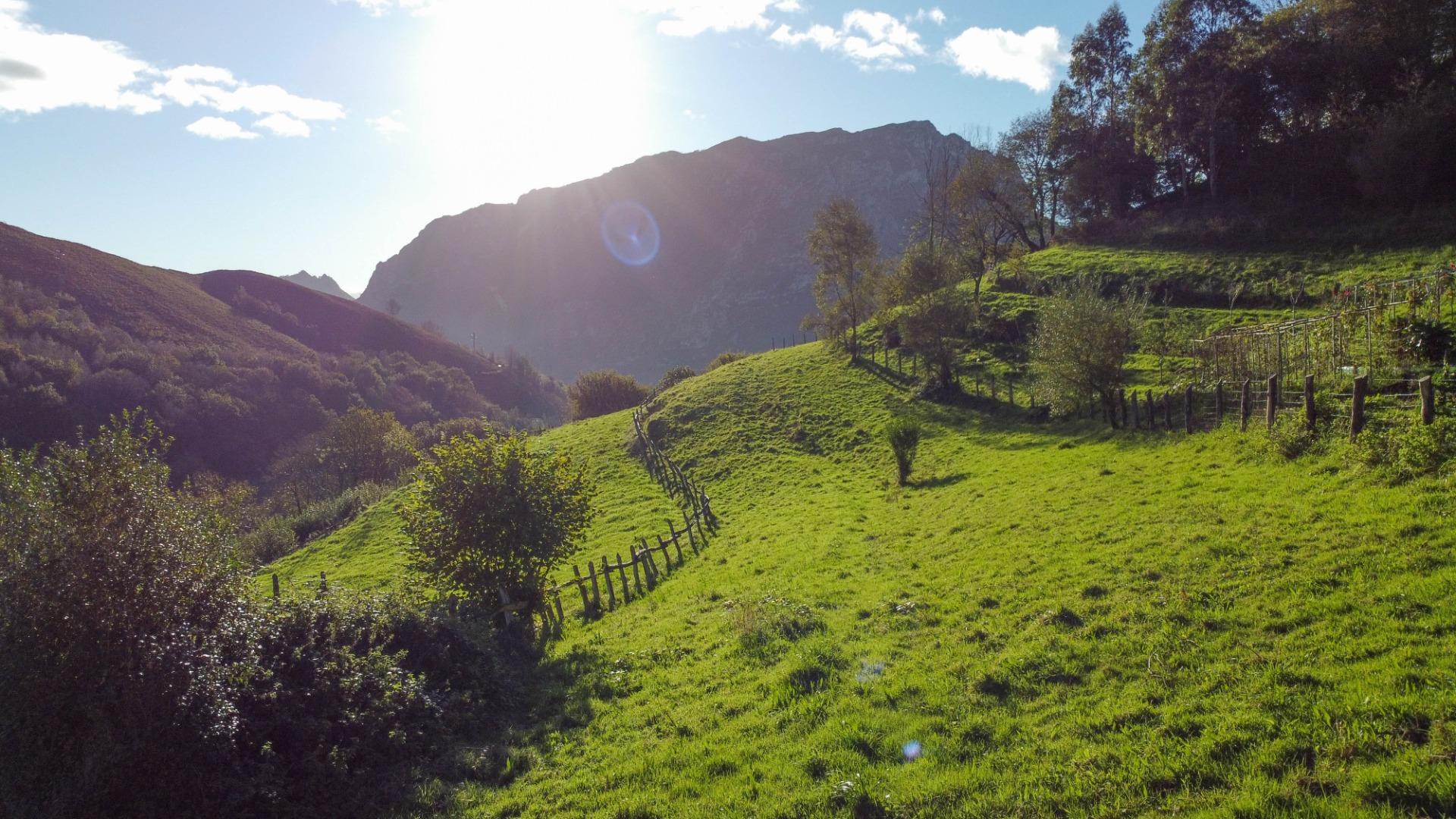 Fincas y solares-Venta-MorcÃ­n-1439980-Foto-20