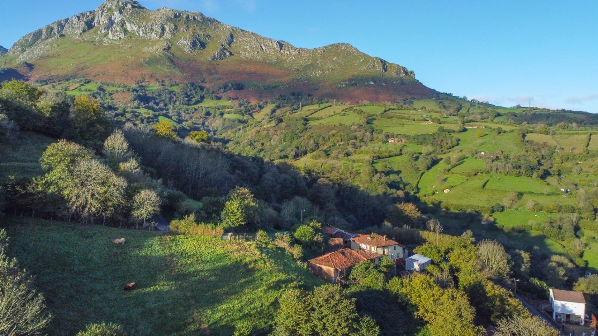 Fincas y solares-Venta-MorcÃ­n-1439980-Foto-22