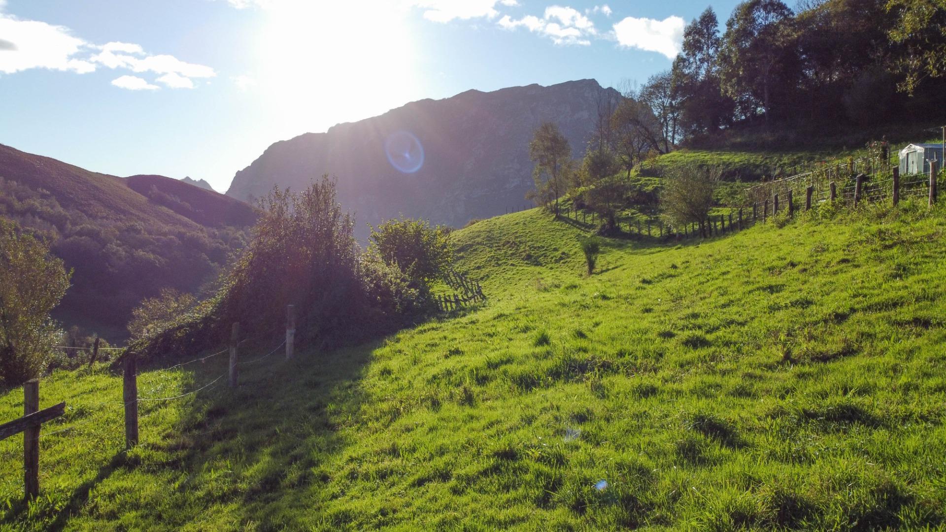 Fincas y solares-Venta-MorcÃ­n-1439980-Foto-21