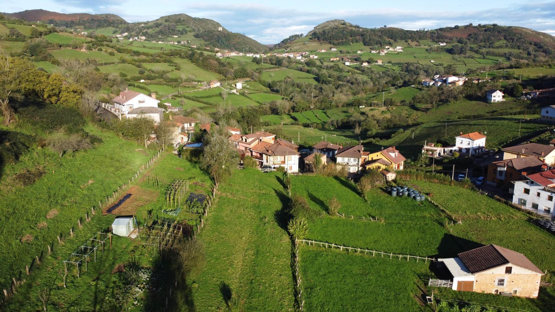 Fincas y solares-Venta-MorcÃ­n-1439980-Foto-28