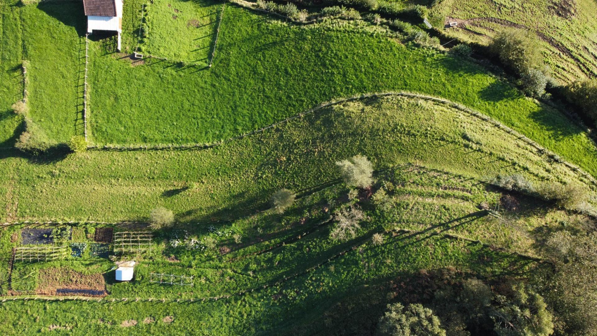 Fincas y solares-Venta-MorcÃ­n-1439980-Foto-29