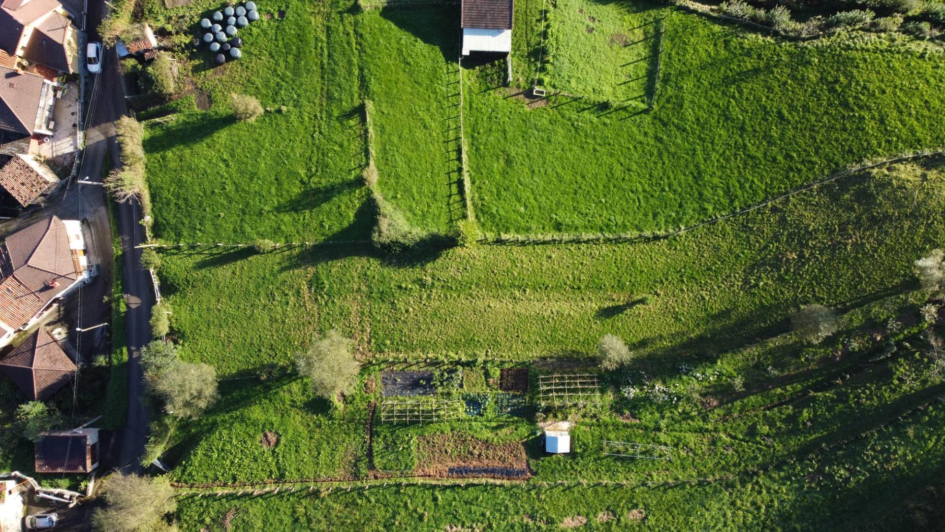 Fincas y solares-Venta-MorcÃ­n-1439980-Foto-30