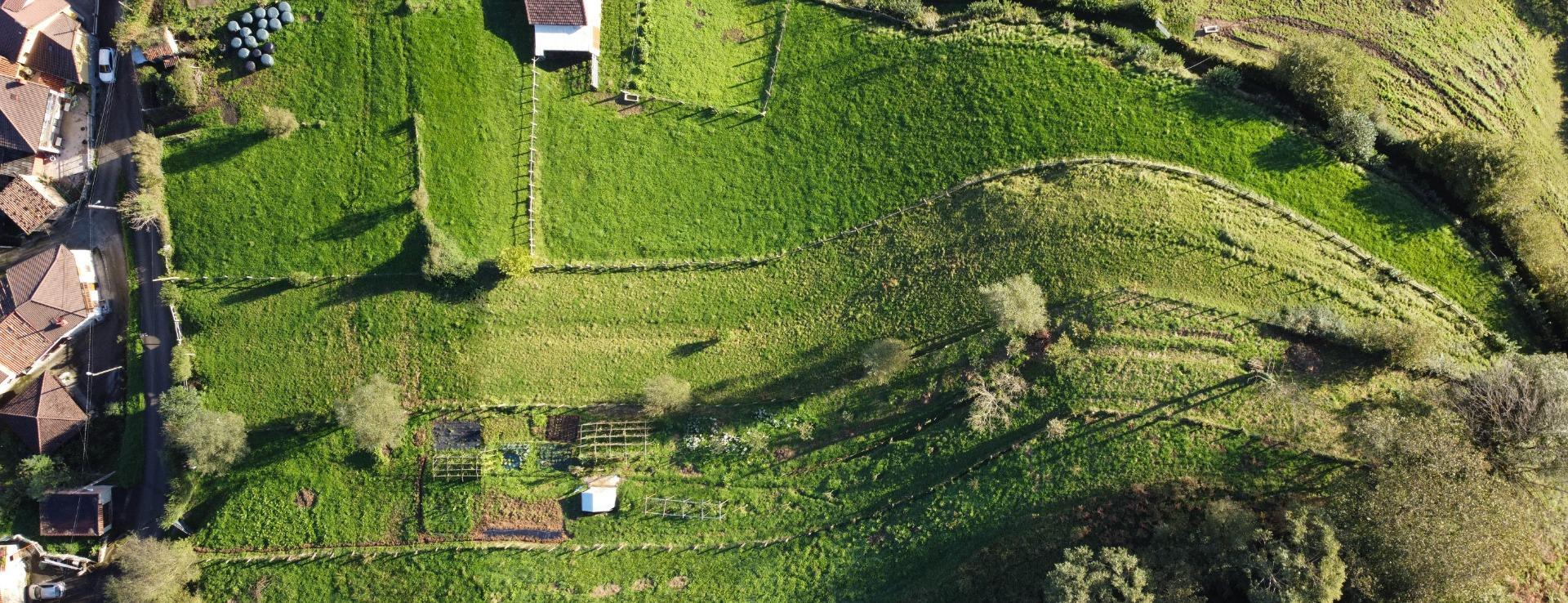 Fincas y solares-Venta-MorcÃ­n-1439980-Foto-31