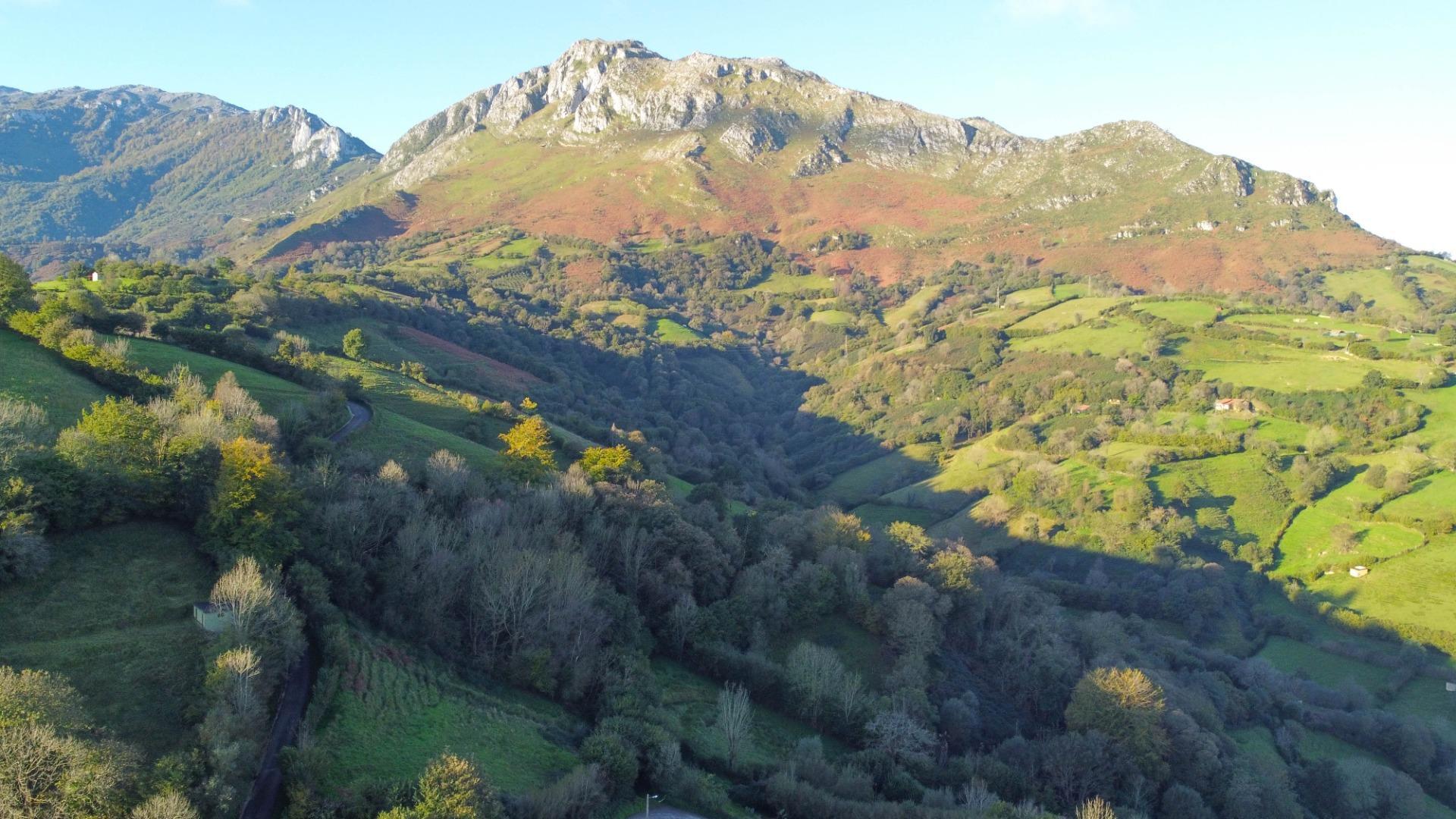 Fincas y solares-Venta-MorcÃ­n-1439980-Foto-34