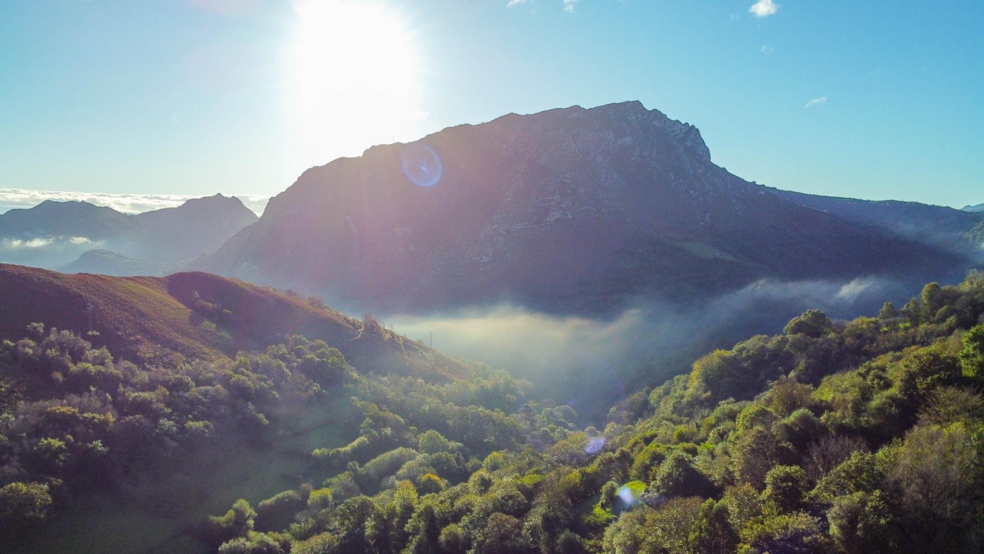 Fincas y solares-Venta-MorcÃ­n-1439980-Foto-36