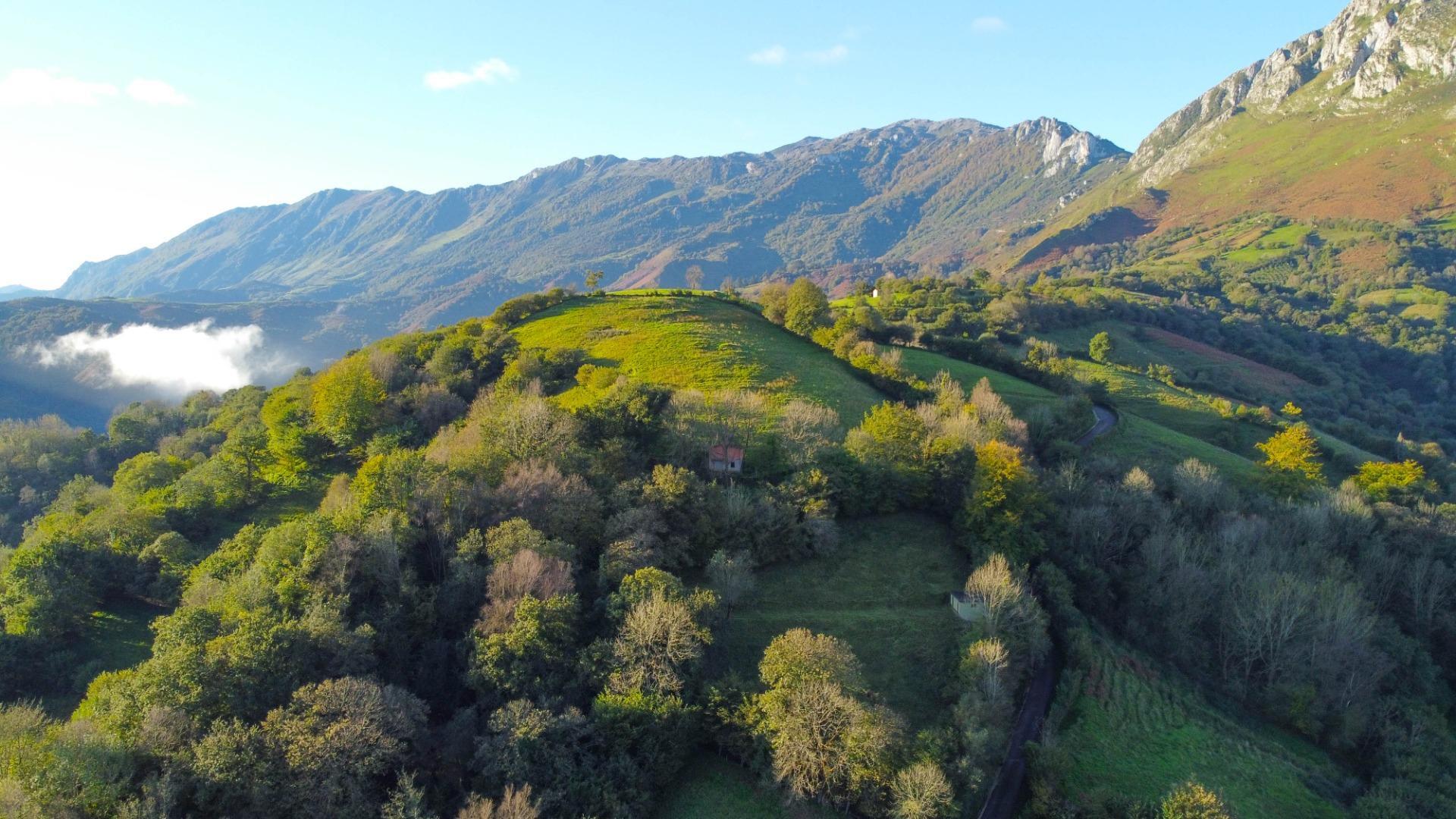 Fincas y solares-Venta-MorcÃ­n-1439980-Foto-35