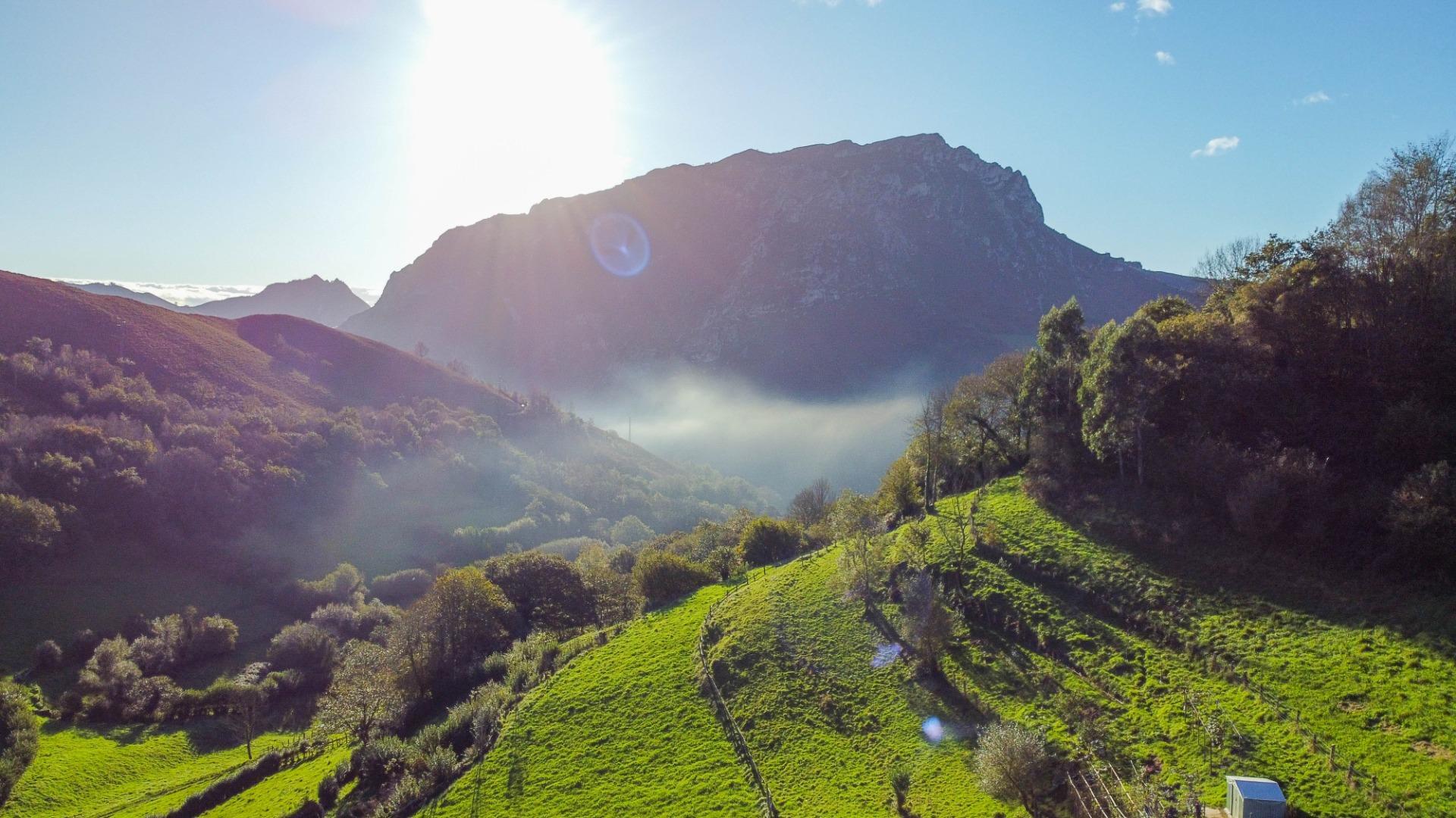 Fincas y solares-Venta-MorcÃ­n-1439980-Foto-37