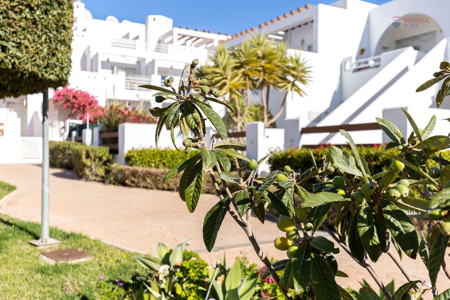 Apartment in Vera