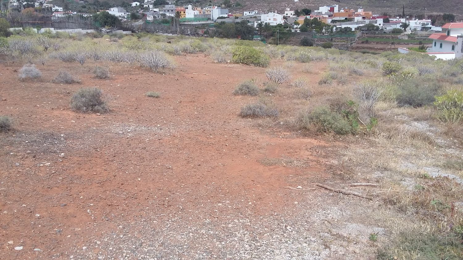 Plot in Ingenio
