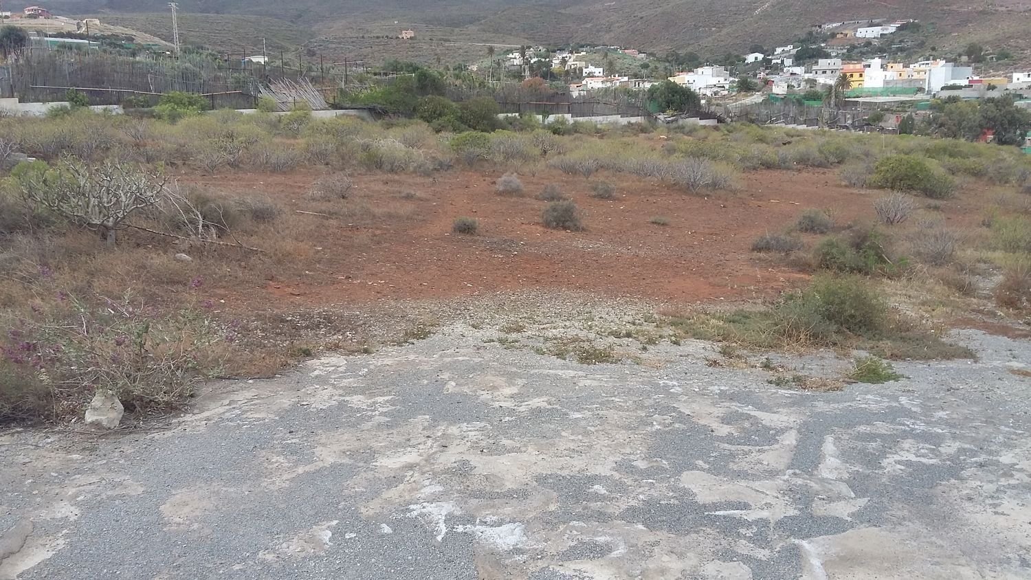 Plot in Ingenio