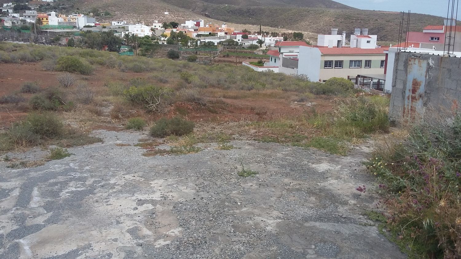 Plot in Ingenio