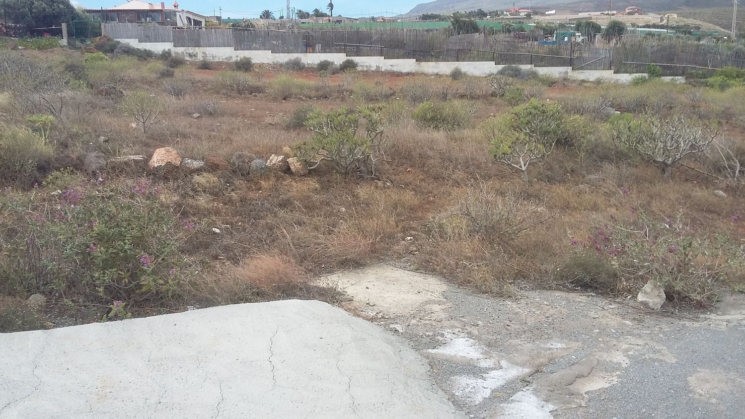 Plot in Ingenio