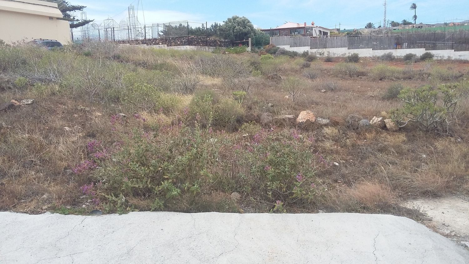 Plot in Ingenio