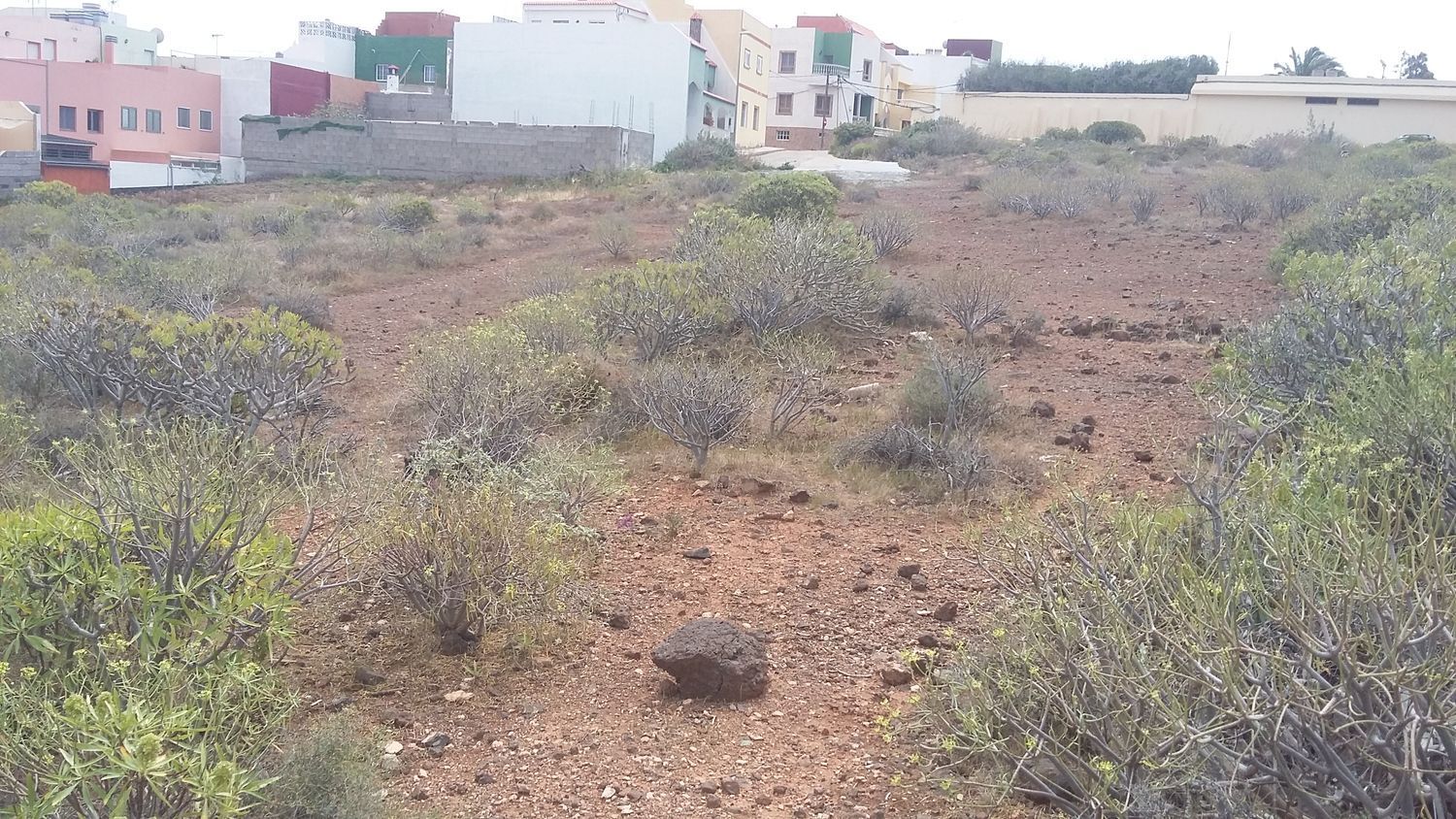 Plot in Ingenio