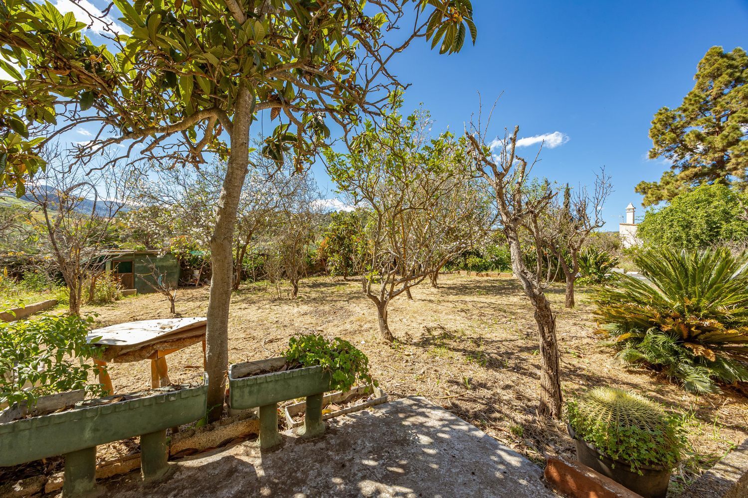 Villa in Santa Brigida