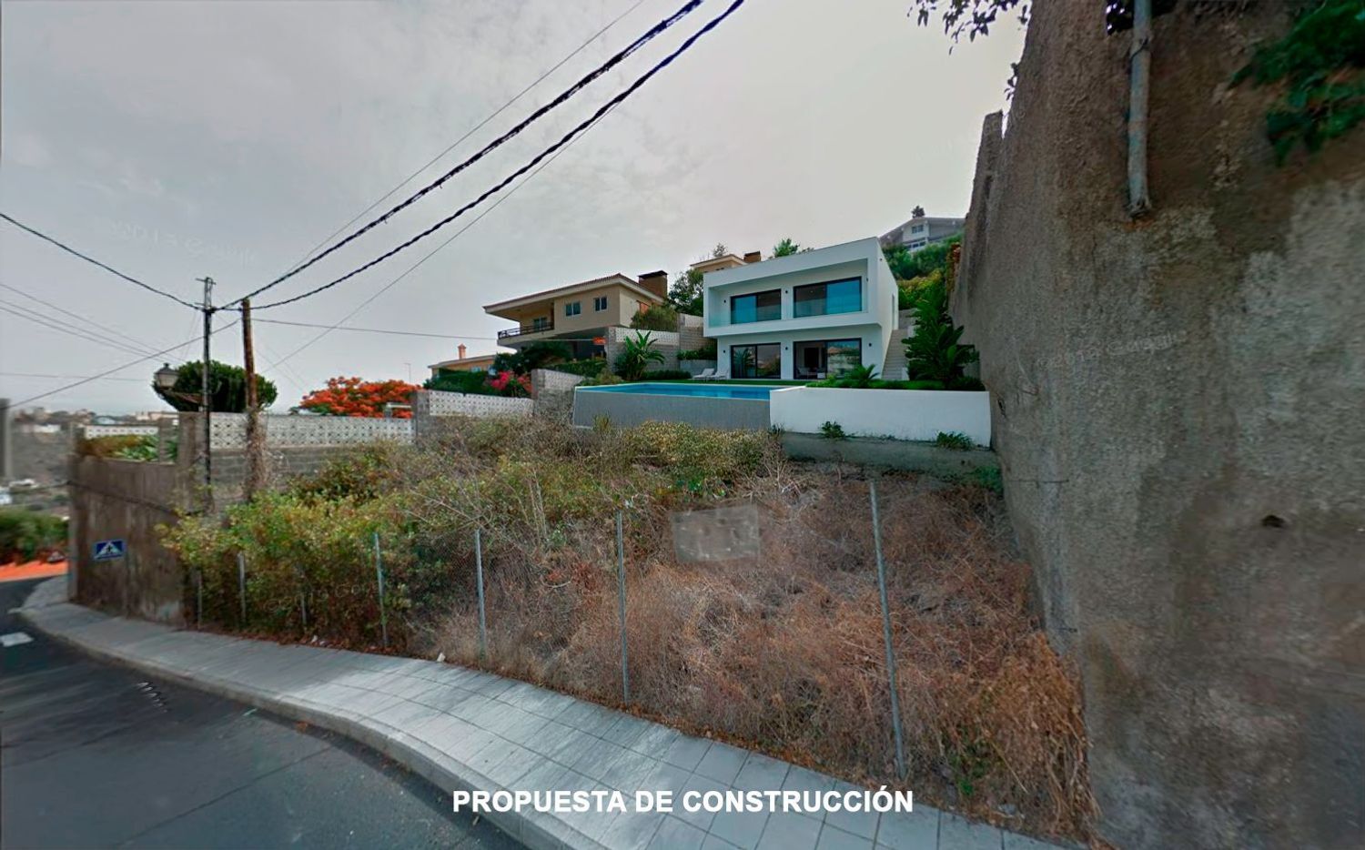 Fincas y solares-Venta-Santa BrÃgida-1904783-Foto-3