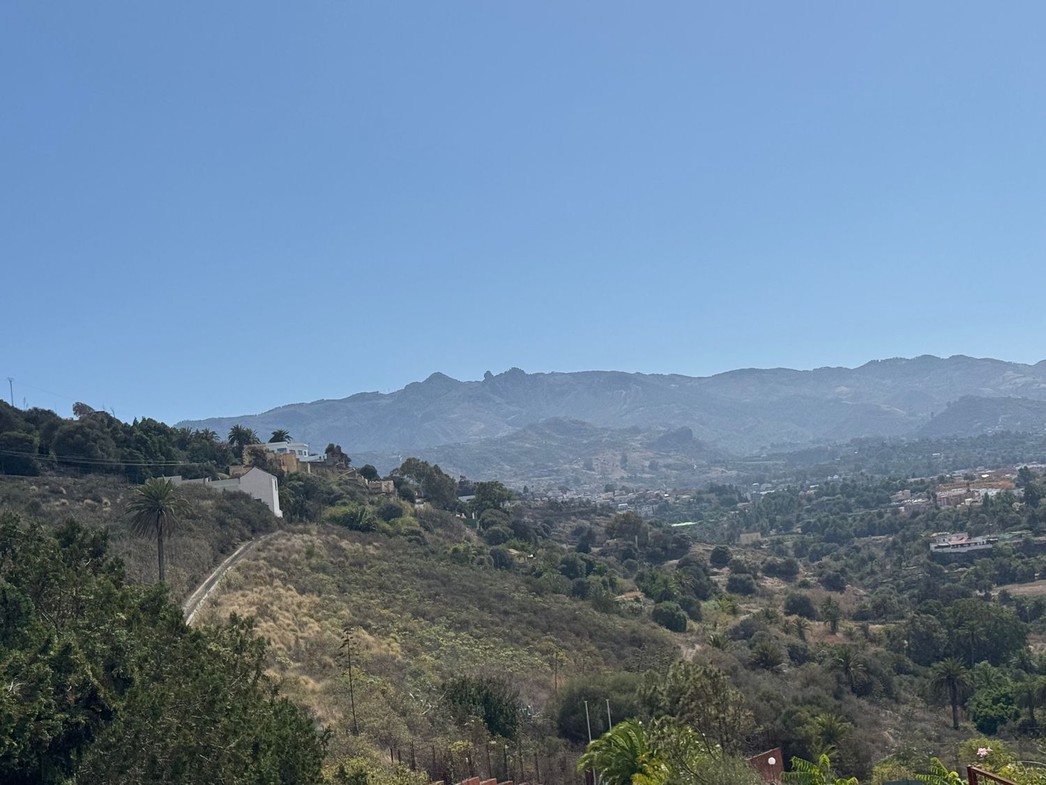 Fincas y solares-Venta-Santa BrÃgida-1904783-Foto-6