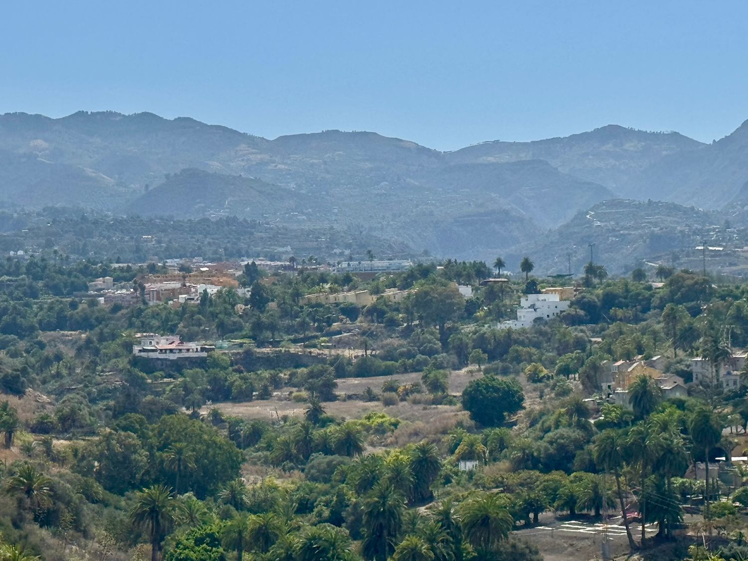 Fincas y solares-Venta-Santa BrÃgida-1904783-Foto-8