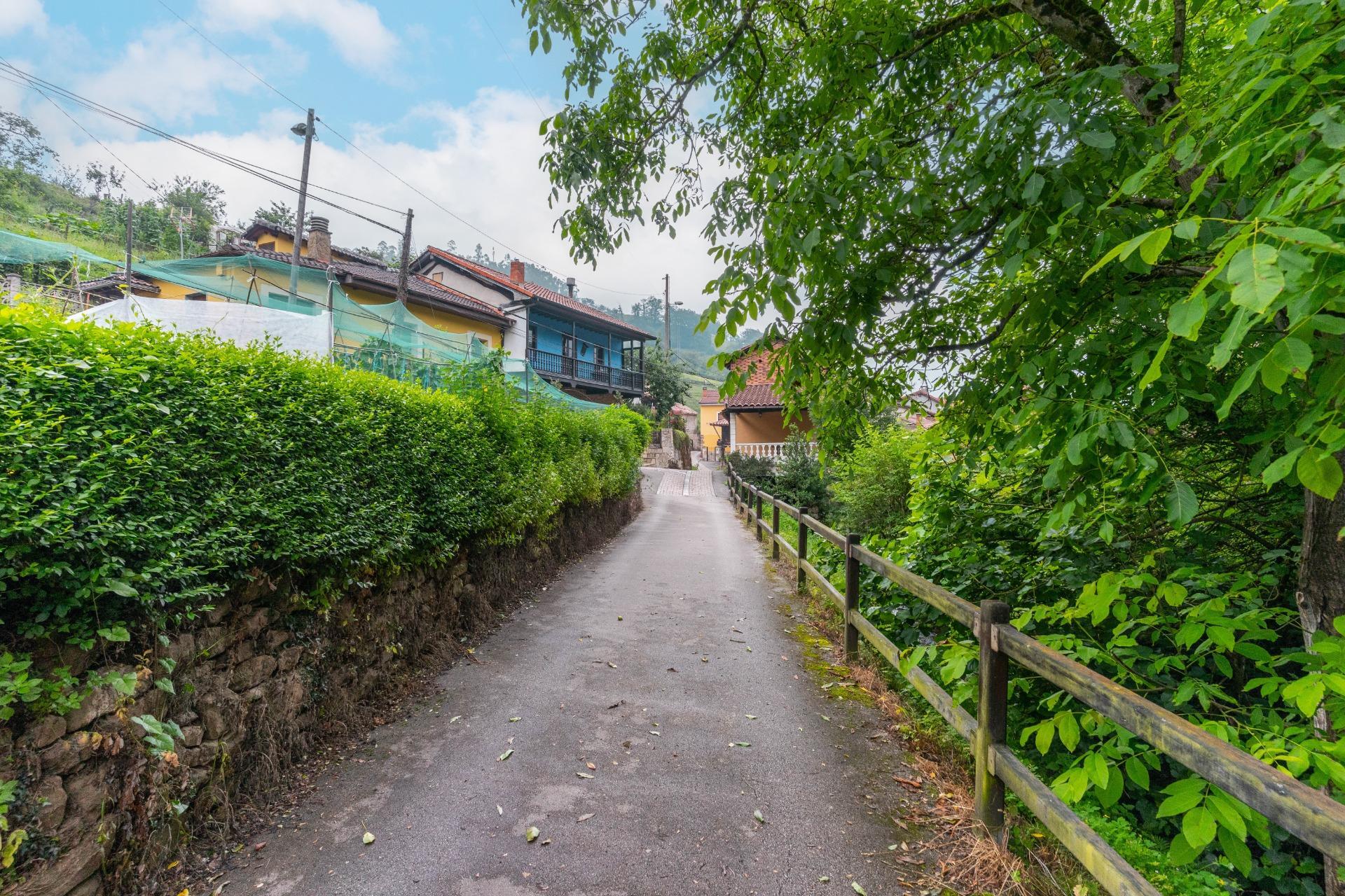 Casas o chalets-Venta-Mieres-1888220-Foto-29